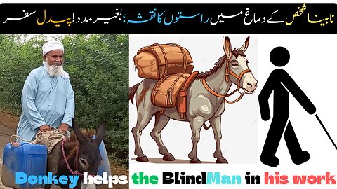 Donkey Helps BlindMan