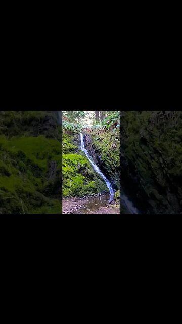 The best sounds for relaxation! #shorts #relaxation #nature