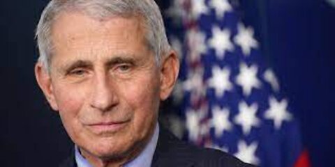 Fauci should be in jail