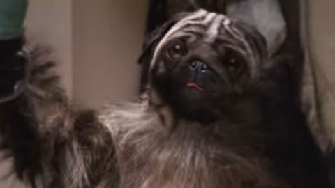 Why Super Bowl 50 Commercials Were Straight Up Horror Movies