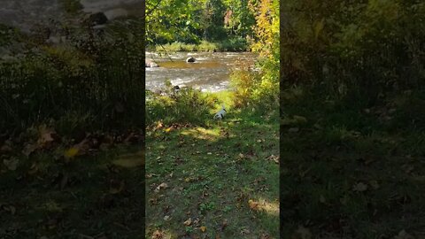 There Is Always That One Kid