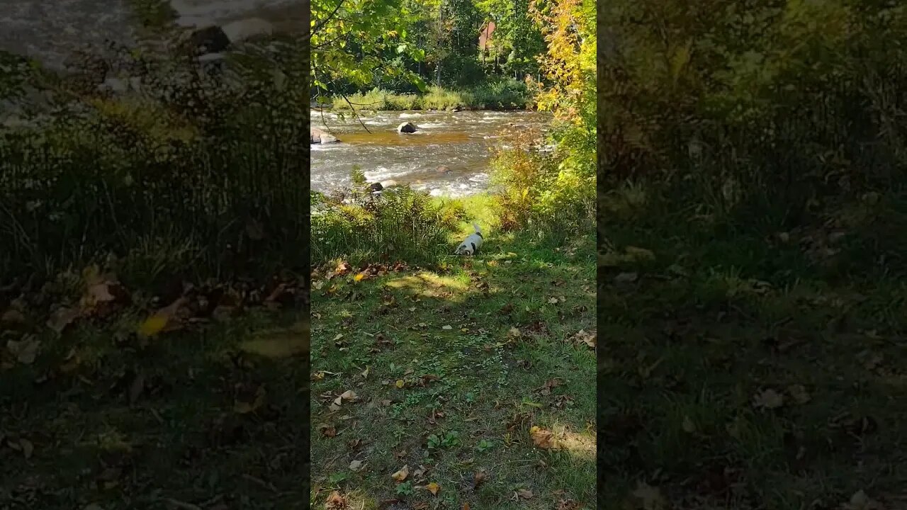 There Is Always That One Kid