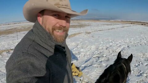 Moving Horses in the Snow