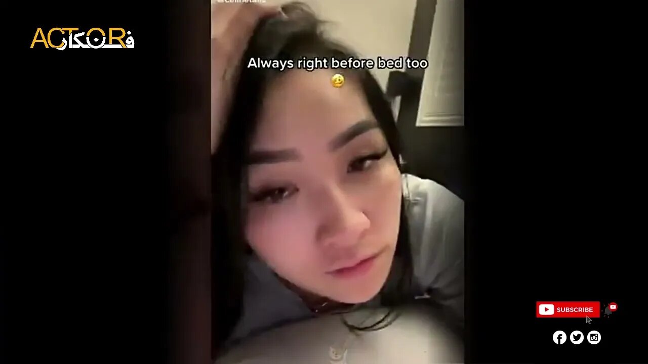The Most Viral Animal clips on TikTok