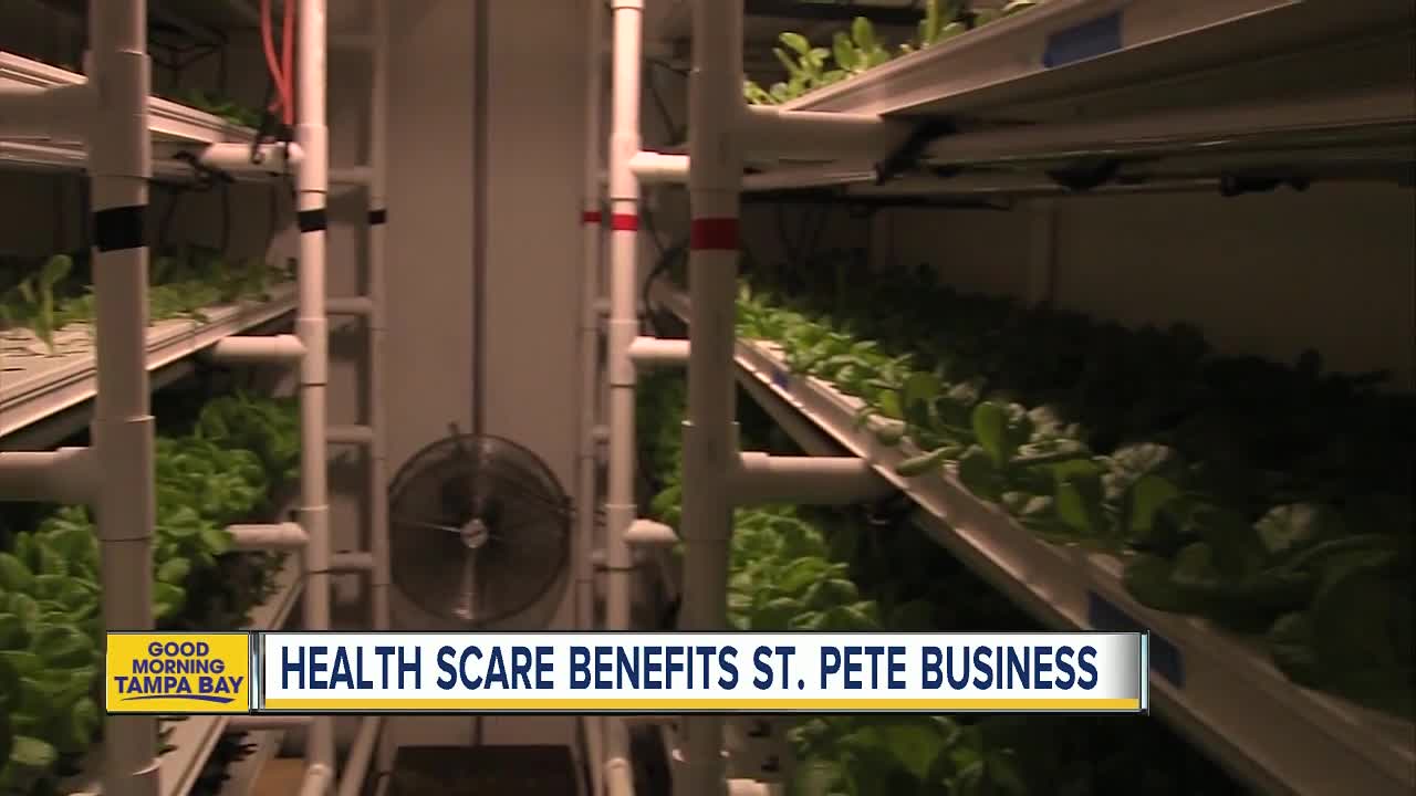 Sales boost at St. Pete farm with 'worry free' romaine lettuce