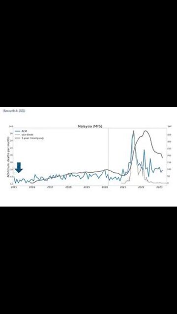 South East Asia: The Excess Death Curve after the Covid Injection (Maybe 17 Million Dead Worldwide!)