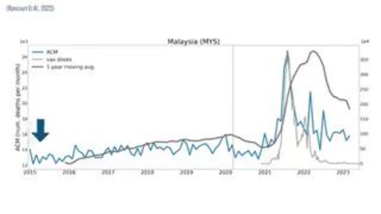 South East Asia: The Excess Death Curve after the Covid Injection (Maybe 17 Million Dead Worldwide!)