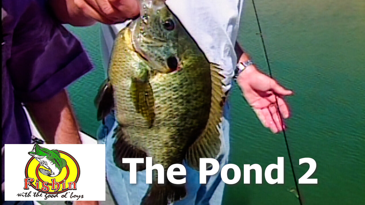 Pond Fishing for Monster Sunfish with Mark Kyle