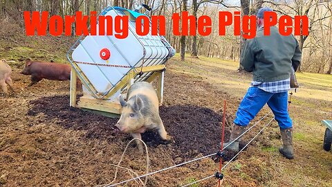 More Work on the Pig Pen @UncleTimsFarm #kärnəvór