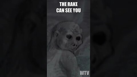 The Rake