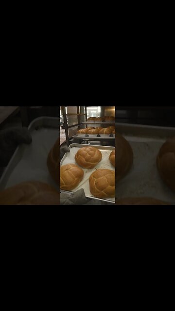 🍞 brioche breads #shorts