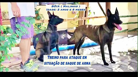 TREINO DE AUTOCONTROLE E SIMULANDO SAQUE DE UMA ARMA