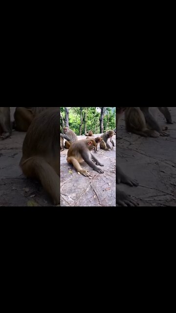 Most Amazing and trending video||relaxing your mind||trendig videos|| #shorts #trending #viral #live