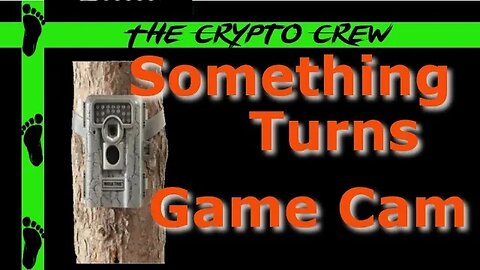 Something Turns Game cam | TCC Research