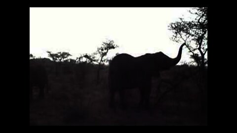 Kenya 2006