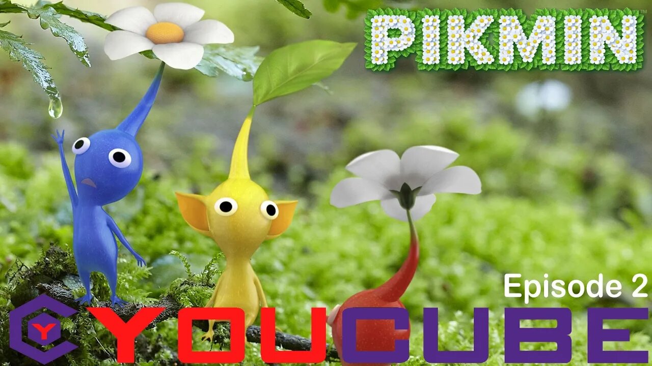 Pikmin 20th Anniversary | YouCube Episode 2