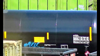IECV TATA #12 | Train Going By And A Crow In The Tree 5-2-2014