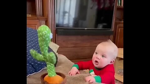 Cactus Toy