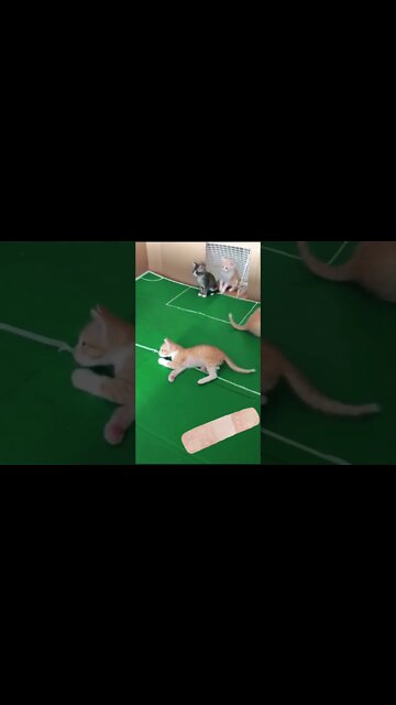 Cute adorable baby child with warm white and pink hat with cute baby girl