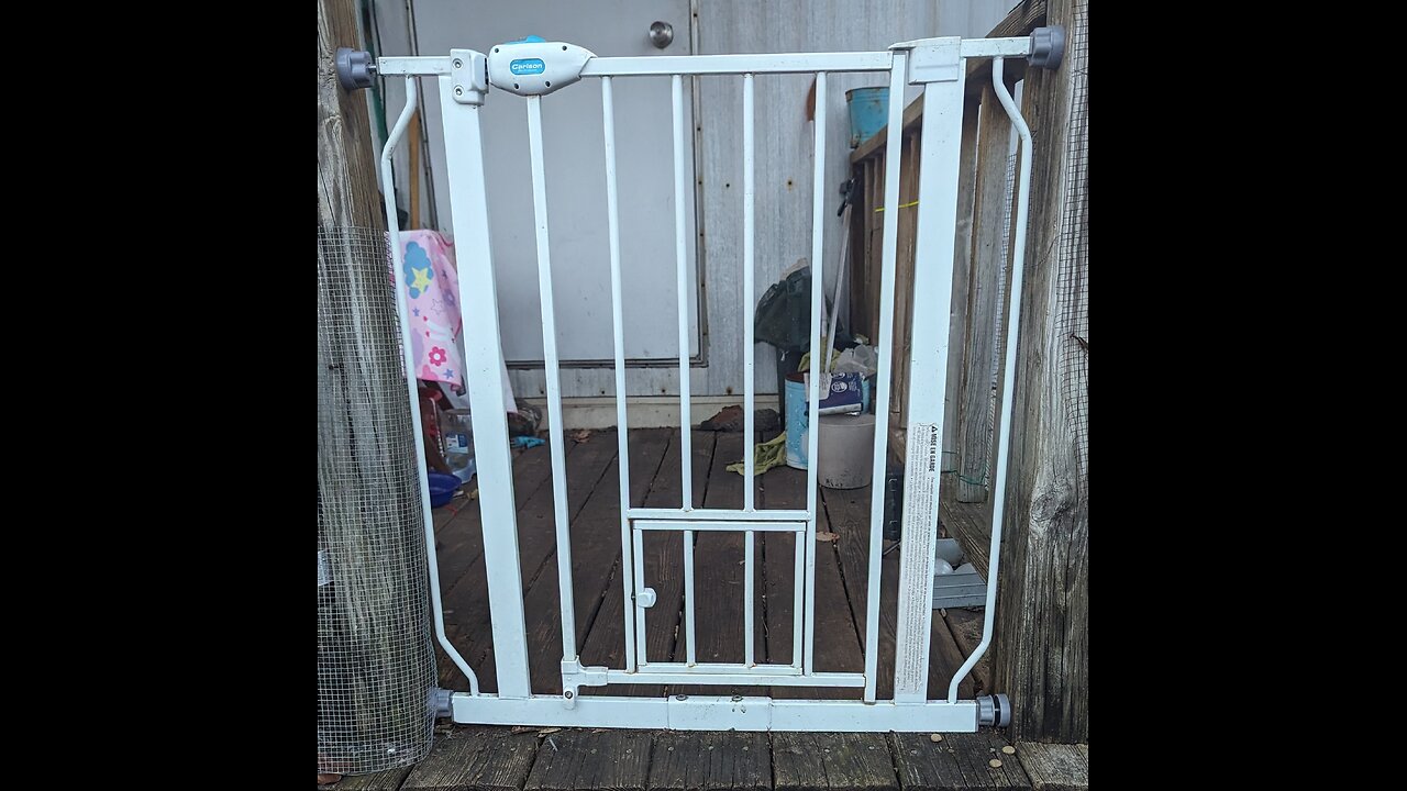 Emma's Animals 29 - Bright Eyes Bright Idea and Cinnamon's Gate