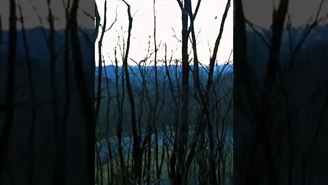 So Beautiful tiktok joe adamek