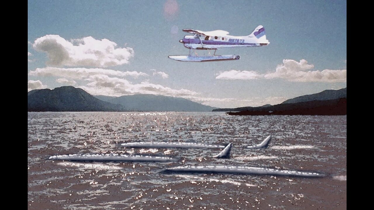 The Iliamna Lake Monster