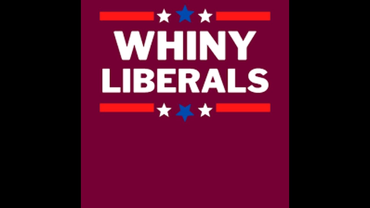 Project 2025 - The Liberal Whining