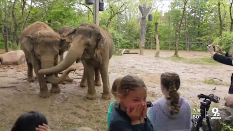 Zoo's elephants get a big hand from a group of 4th grade girls