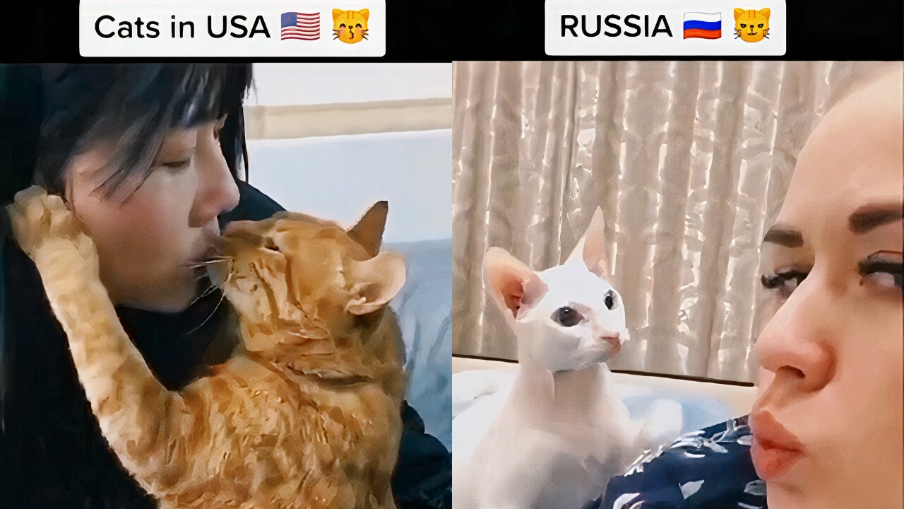 Animals in USA vs Animals in Russia 😱