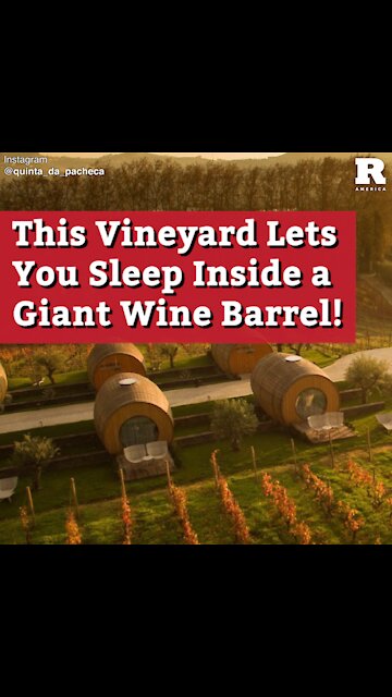 This Vineyard Lets You Sleep Inside a Giant Wine Barrel!