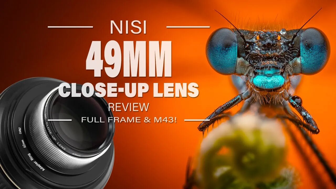 Unleashing the Macro World: A Review of the Nisi 49mm close-up Lens for Macro Photography!