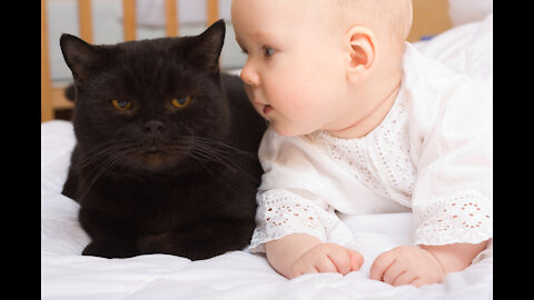 Funny Moments Cats Meeting Babies for the FIRST Time [NEW] Compilation