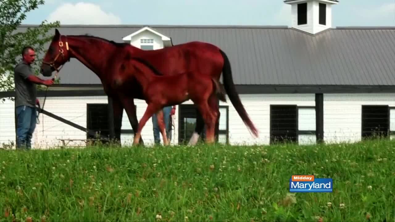 Kentucky Tourism