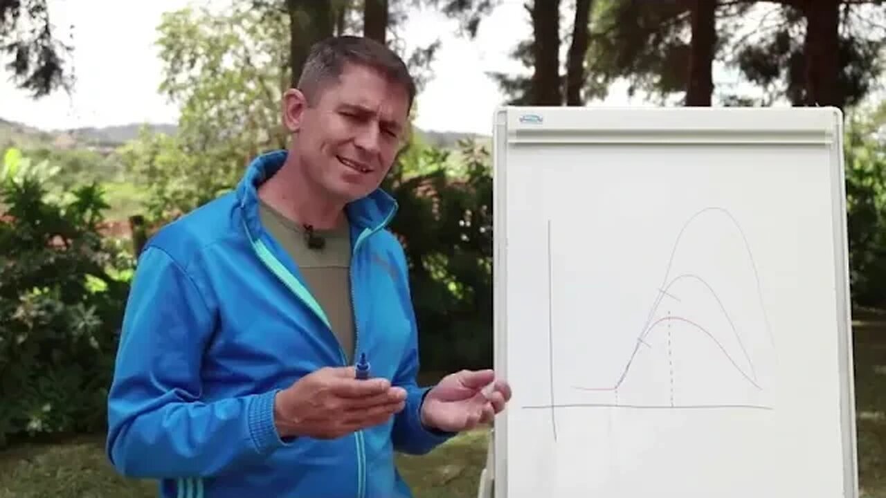 A gestão das emoções no aprendizado canino