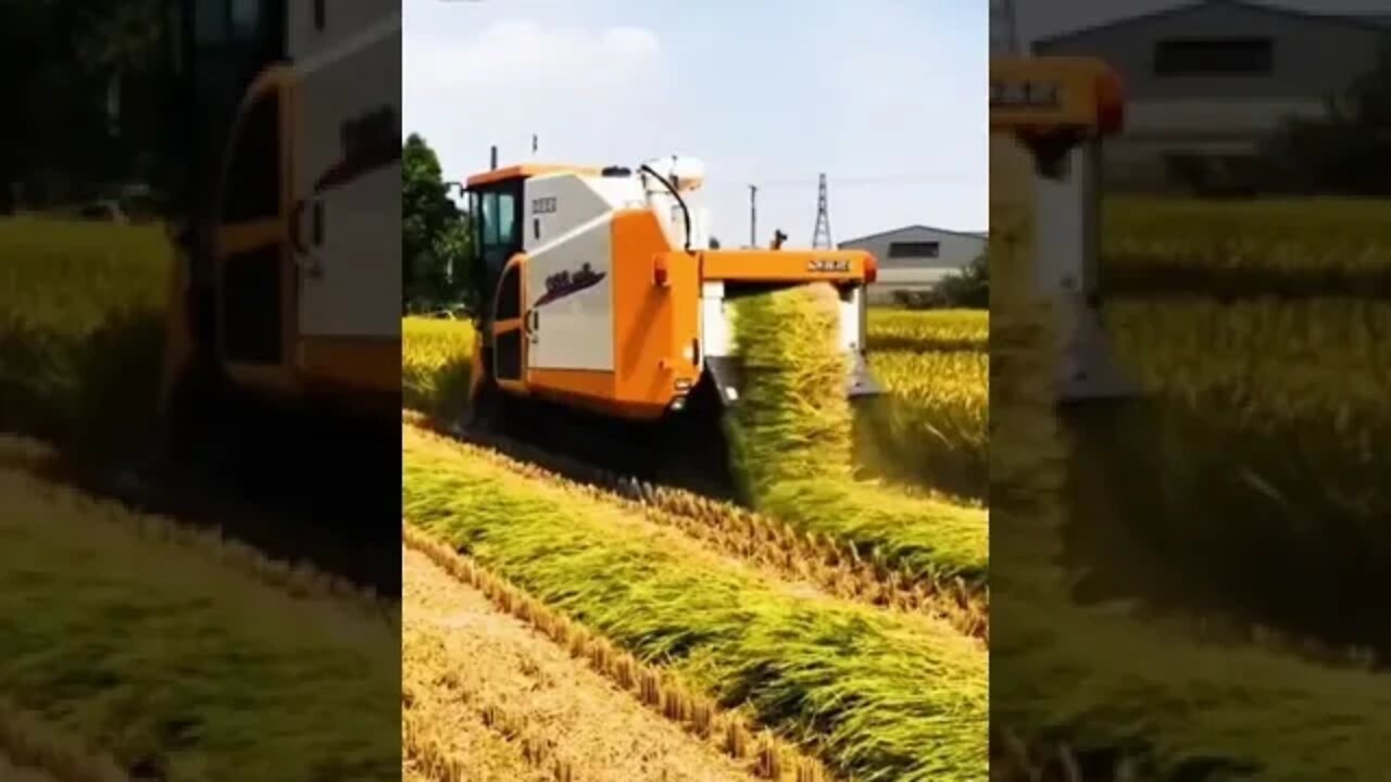 Advanced Rice Harvester - Rice Farming