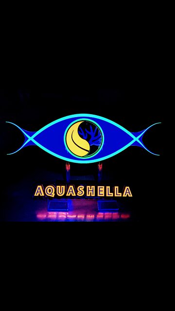 Aquashella Custom in Tank Display