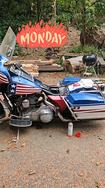 65 old lungs and 🧠