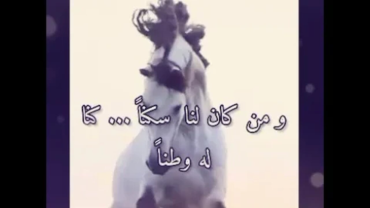 🤍 امنح قلبك لمن يستحق 💚