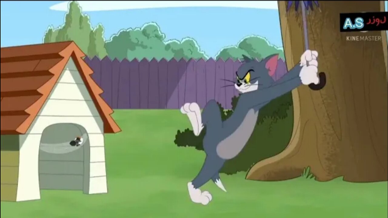 Tom and Jerry New Episode In Hindi Dubbed