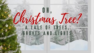 Oh, Christmas Tree? A Special Presentation -12/20 #christmas #christmastree #festival #jesuschrist