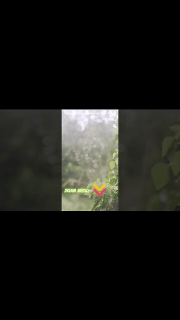 rain passes inside a distant cabin #flowingwatersound #Relaxation #short #shorts