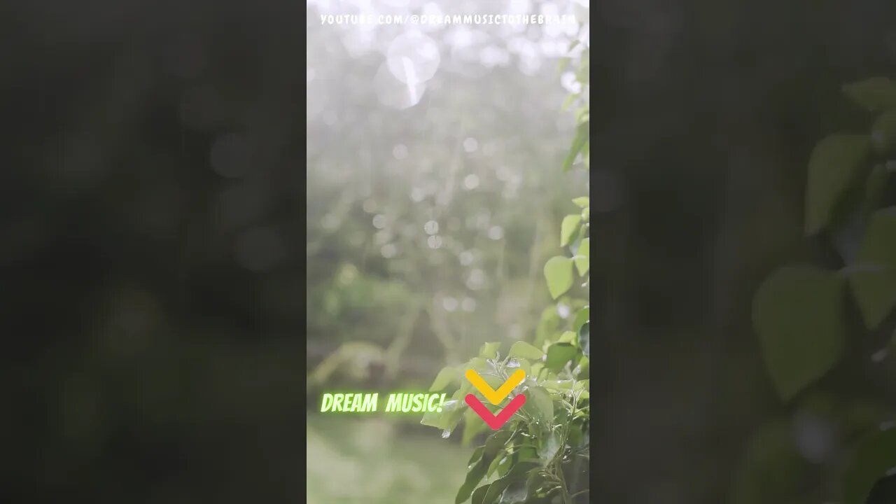 rain passes inside a distant cabin #flowingwatersound #Relaxation #short #shorts