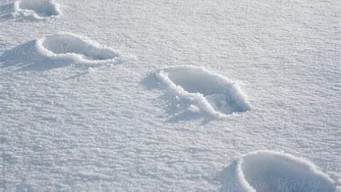 Tale Of The Footprints In The Snow