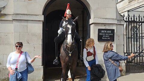 STAND CLEAR OF THE KINGS LIFE GUARD. I'M VERY SORRY #horseguardsparade