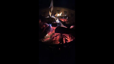 Fire Pit Bonfire Hedge