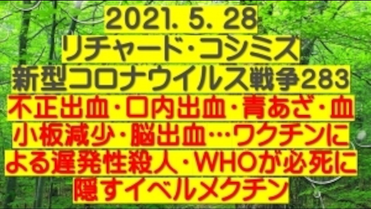 2021.05.28リチャード・コシミズ新型コロナウイルス戦争283