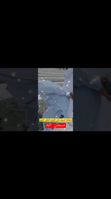 سبحان الله حمامة تسجد في الحرم المكي اليوم