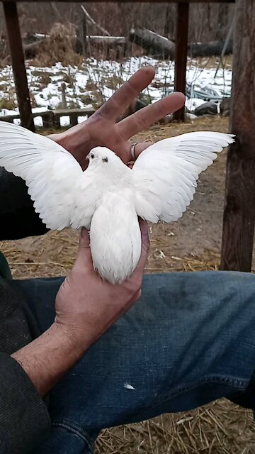 Trash Can Pete on full display