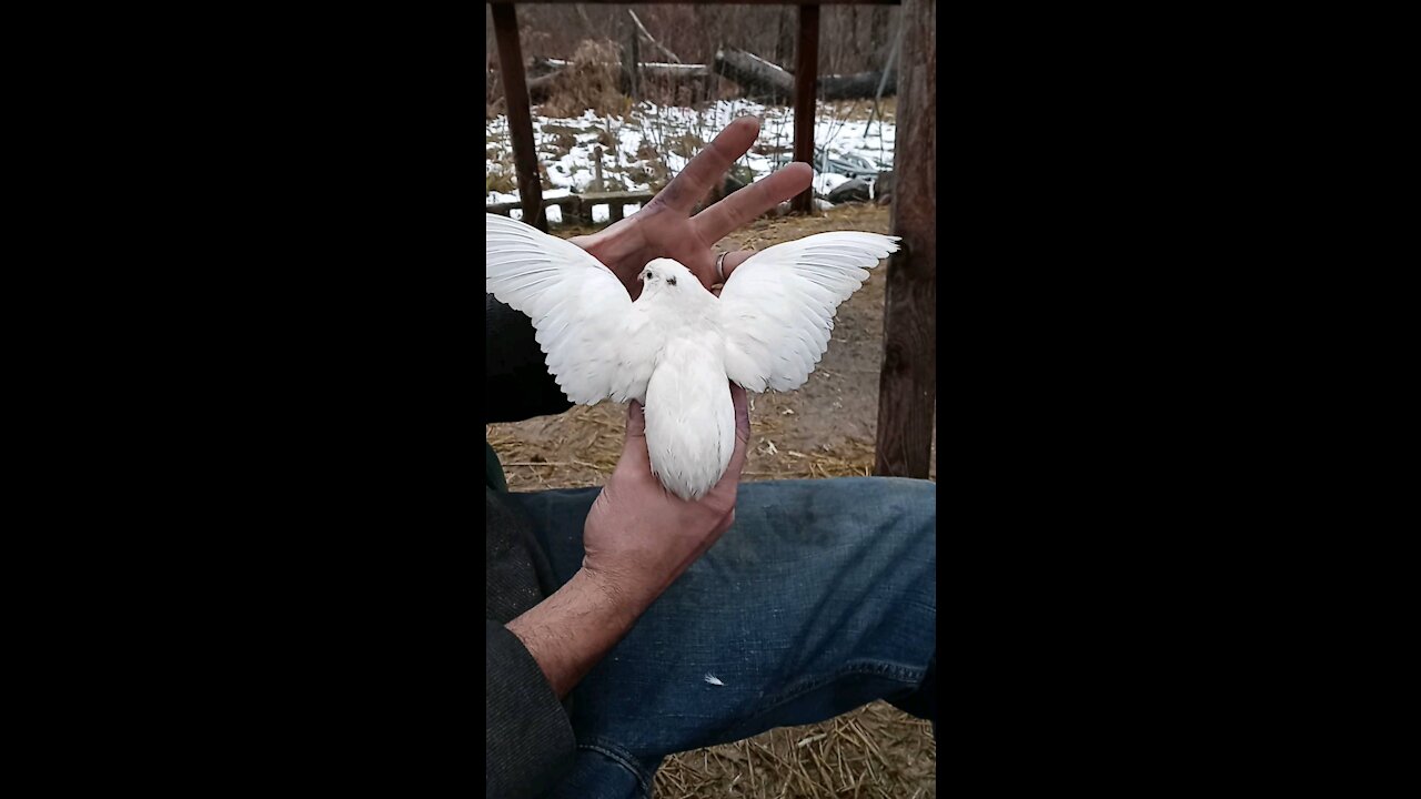 Trash Can Pete on full display