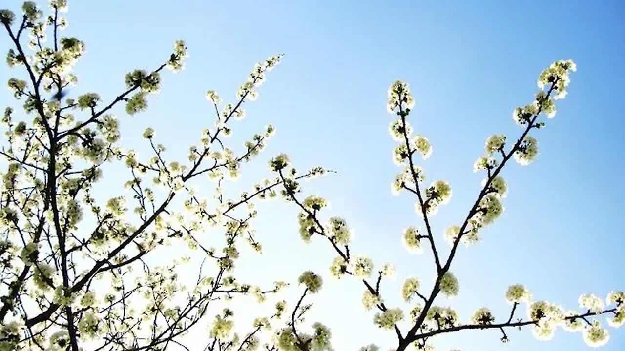 Μη ήσθε μετέωροι 05 06 1994